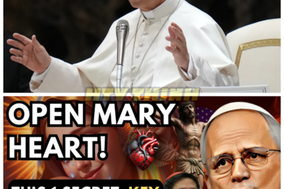 Pope Leo XIV Reveals the Hidden Truth: When You Open Mary’s Heart, You See Jesus — The Teaching That Will Change Everything 😱 Pope Leo XIV has just revealed a powerful, life-changing teaching that has stunned the faithful: when you open Mary’s heart, you encounter the presence of Jesus Himself. This profound insight shatters preconceived notions and offers a fresh perspective on faith and devotion. What does this secret teaching really mean for the Church, and why is it causing such a stir among believers? Prepare for a revelation that could transform your spiritual journey forever. 👇