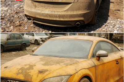 Stolen Audi TT Resurfaces at Auction in Brazil – Restoration Gamble Sparks Controversy