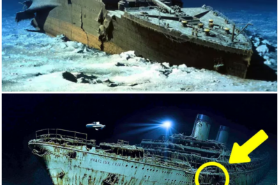 Breaking Titanic Discovery at 3800m Depth: What This New Find Reveals Will Change History Forever After more than a hundred years of speculation, the mystery of the Titanic has just taken an unprecedented turn. A shocking discovery at 3800 meters deep has left experts stunned and questioning long-held beliefs. What was once accepted as fact has now been completely overturned, revealing details about the Titanic’s final moments that no one could have anticipated. Could this groundbreaking find change the way we understand the greatest maritime disaster of all time? The answers may surprise you—prepare for a revelation that will leave you speechless.  👇