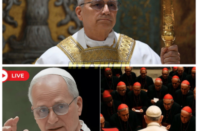 😱 Pope Leo XIV Calls an Emergency Meeting — Every Cardinal Brings the Same Note, and the Vatican is SHOCKED! 😱 In a bizarre turn of events, Pope Leo XIV called an emergency meeting, and when every Cardinal entered the room, they all had the same note in hand. What’s written on these notes, and why did it shock the entire Vatican? The mysterious message has sent waves of fear throughout the church, and the truth behind it is about to be exposed. Get ready for a revelation like never before! 👇