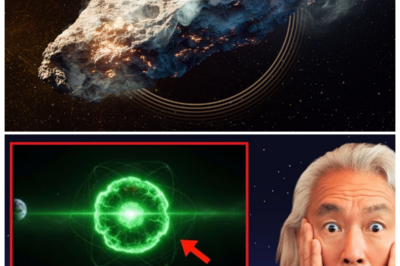 🐘 “3I/ATLAS Exposed: What We’ve Learned Will Change Everything!” 🚀 In a remarkable development, the enigma surrounding 3I/ATLAS has been unraveled, providing insights that could alter our understanding of the universe. “What are the next steps for researchers?” As the scientific community reacts to this revelation, the excitement builds for what lies ahead in the study of celestial bodies. This is a fascinating exploration of discovery and innovation in astronomy! 👇