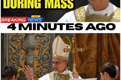 Pope Leo XIV collapses during Mass—but his final words stun the entire Church