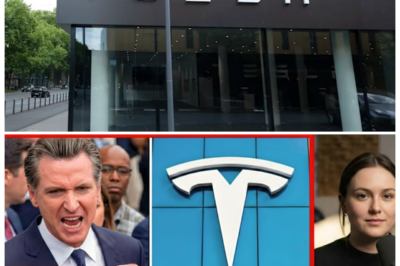 🐘 “California Governor in SHOCK After Tesla Announces Massive Factory Closure! ⚡”  In a jaw-dropping announcement, Tesla has revealed plans to close one of its major factories in California, leaving the governor reeling and communities in disbelief! “When the electric car giant pulls the plug, the shockwaves are felt statewide!” How will this closure impact jobs and the local economy, and can the governor respond effectively to this crisis? 👇