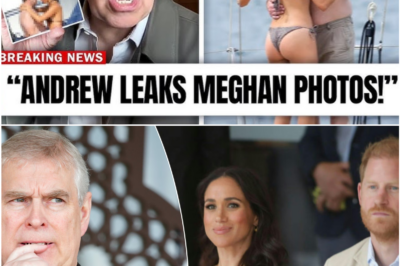 Harry Left Speechless as Prince Andrew Allegedly Reveals Secret Affair Photos with Meghan — Palace in Complete Turmoil