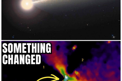 🐘 Mysterious Signals: 3I/ATLAS Is Unraveling Secrets We Can’t Comprehend! 🌌 “What are they trying to tell us?” In a groundbreaking revelation, the enigmatic 3I/ATLAS is sending out signals that have left scientists baffled and the world on the edge of its seat. As researchers scramble to decode this cosmic mystery, the implications of these findings could change our understanding of the universe forever. What secrets lie hidden in the stars? 👇