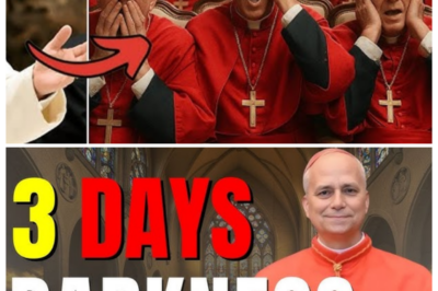 Pope Leo XIV Breaks Silence on the Prophecy of Three Days of Darkness: What You Need to Know 😱🌑 In an unprecedented moment, Pope Leo XIV has broken his silence on the ancient and chilling prophecy of the Three Days of Darkness. With global tensions rising, the Pope’s words have sent shockwaves through the Catholic world—what did he say about this foreboding prophecy, and why is he speaking out now? Could this be a sign of a coming spiritual crisis, or is the Pope trying to quell fear with new guidance? This revelation will leave you questioning the future of the Church—and the world. 👇