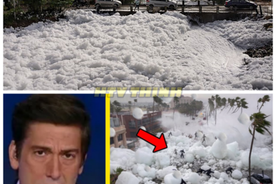 SHOCKING EVENTS UNFOLD in the USA — Could This Be the Beginning of the End? Are These the SIGNS Jesus WARNED Us About? ⚡✝️ What just happened in the USA has left everyone in disbelief, and the signs are pointing to something far more ominous than we ever imagined. From strange natural disasters to unsettling political upheaval, it’s almost like the events unfolding right now are straight out of prophecy. Could these be the exact signs Jesus warned us about? The world is watching, and the clock is ticking. Are we on the brink of a biblical reckoning? 👇