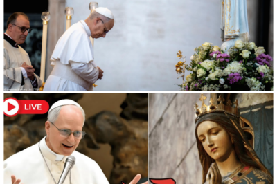 🌹 pope leo xiv reveals the hidden gospel of mary — what she said about the end will shock you ⛪🔥 as sacred halls echo with gasps, the narrator hisses that centuries of silence are shattered, and the words of the mother of god ignite debates, fear, and awe among clergy and faithful alike 👇
