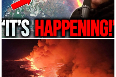 NASA JUST ANNOUNCED San Andreas Fault Crack on the Brink of Eruption After New Findings! What If A Hidden Fracture Beneath California Is About To Trigger The Most Devastating Disaster In U.S. History—New Satellite Data, Emergency Briefings Behind Closed Doors, And Scientists Suddenly Warning Of An Imminent Chain Reaction? This Shocking Investigation Reveals Obscure Geological Signals, Suppressed Risk Reports, And A Threat Few Were Ever Told About. Is America Standing On The Edge Of Catastrophe? Click The Article Link In The Comments And Discover The Truth.
