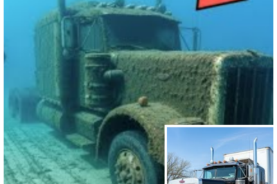 🚛 HE CLOCKED OUT AFTER A MIDNIGHT RUN IN ’92 AND VANISHED WITHOUT A TRACE — 18 YEARS LATER DIVERS DESCENDED INTO BLACK WATER AND FOUND A SECRET THE HIGHWAY TRIED TO BURY 🌊 What everyone wrote off as a runaway driver or a staged disappearance exploded into a chilling underwater discovery when search teams pulled something from the depths that still had his name on it, turning a dusty missing-persons file into a full-blown crime drama and forcing old coworkers to relive a night they swore they barely remembered 👇