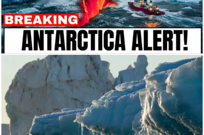 😱 Thwaites Glacier CRACKING Apart – Doomsday Glacier Earthquakes SURGE as Ice Sheet COLLAPSES! 😱 – HTT