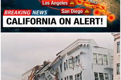 😱 Scientists SHOCKED as San Francisco Fault Line UNLEASHES 150+ Quakes In DAYS! 😱 – HTT