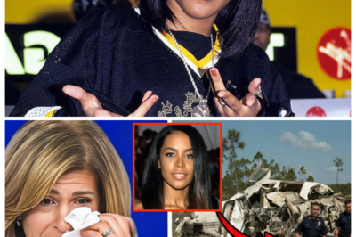 The Aaliyah Plane Crash Mystery Is Finally Solved — Not the Ending We Hoped