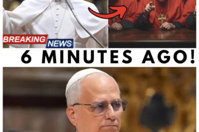 What Pope Leo XIV Revealed About The Church’s Future Has Left Cardinals Divided