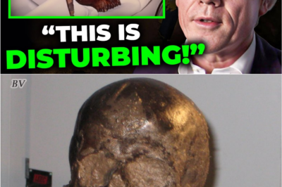 An 8,000-Year-Old Human Brain Survived — and Scientists Extracted Its DNA