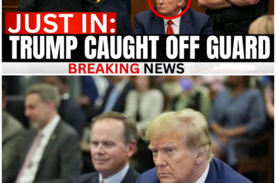 Trump Defies Court After Supreme Court Rejects Final Appeal