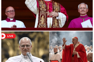👁️ ALTAR SHOWDOWN — A CARDINAL DARES TO CORRECT POPE LEO XIV MID-MASS… AND THE BASILICA FALLS INTO DEAD SILENCE ⚡ The narrator hisses as incense hangs thick in the air, whispers ripple through the pews, and one trembling voice breaks the sacred rhythm—only for the Pope to pause, turn slowly, and deliver a response so calm and cutting it freezes every heartbeat in the cathedral 👇