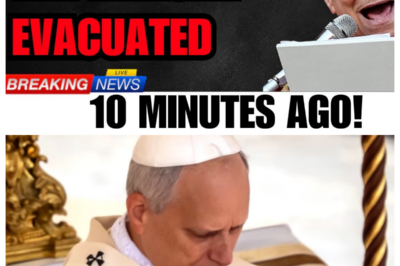 Something Manifested Beneath St.Peter’s Dome — and Pope Leo XIV Ordered Everyone Out Immediately