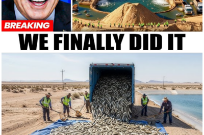 How Israel’s Hidden Desert Ocean Became a Tropical Fish Farming Powerhouse Against All Odds