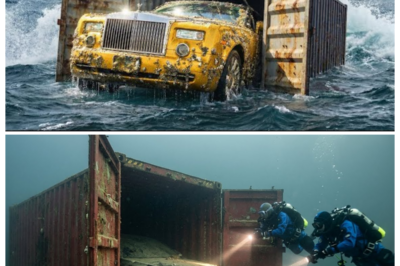 🌊 SUNKEN LUXURY RISES — LOST MERCEDES MAYBACH S450 LIFTED FROM OCEAN FLOOR IN INCREDIBLE DEEP-SEA SALVAGE 💥 After decades under saltwater, the sleek luxury sedan emerges from the depths, covered in barnacles and mystery, as engineers pull off a near-impossible rescue that leaves viewers stunned and imagining the story behind this drowned automotive treasure 👇