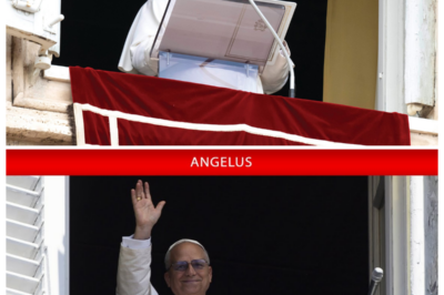 🕊️ Angelus Prayer with Pope Leo XIV—And Insiders Say the Simple Blessing Masked a Powerful Message, As His Carefully Chosen Words, Pauses, and Silences Sent Shockwaves Through St. Peter’s Square and Left the Faithful Whispering About What He Meant to Reveal—and What He Deliberately Withheld — In a hushed, dramatic tabloid narrator’s tone, sources insist this Angelus was anything but routine, hinting that beneath the calm delivery lay warnings, reassurance, and quiet authority aimed at a world on edge 👇