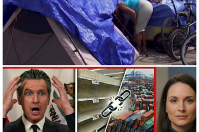State on the Brink! 🚨 California Governor Alarmed as Supply Chain Breakdown Accelerates and Turns Everyday Goods Into Scarce Commodities! Warehouses fall silent, trucks idle without answers, and shelves thin out as officials scramble to explain how a system once sold as resilient is now buckling in public view, with insiders whispering about ignored warnings and cascading failures that transformed logistical hiccups into a rolling crisis threatening jobs, prices, and public patience all at once 👇