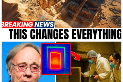 Scientists Just Found a Hidden Door Inside the Great Pyramid — And What’s Behind It Is Shocking!
