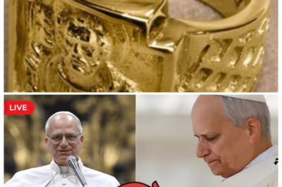⚡ Pope Leo XIV Removed His Ring in Protest—And Insiders Claim the Silent Gesture Exploded Inside the Vatican When the College Allegedly Tried to Limit Papal Authority, Turning a Sacred Symbol Into a Shockwave of Defiance — In a hushed, cinematic tabloid cadence, whispers say the moment froze the room, as tradition met resistance and a calm face delivered a thunderclap, leaving onlookers decoding whether this was humility—or a line drawn in holy steel 👇