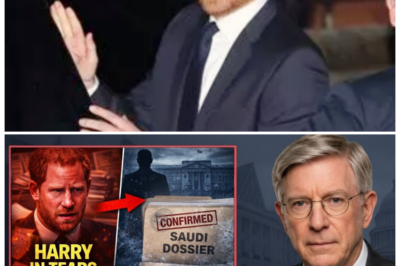 🐘 “Royal Turmoil: ‘Saudi Dossier’ CONFIRMED by Palace — Prince Harry’s Breakdown Shakes the Monarchy!” ⚡ In a shocking announcement that has sent the royal family into a tailspin, the Palace has confirmed the existence of the “Saudi Dossier,” triggering a heartbreaking breakdown from Prince Harry. As the implications of this revelation unfold, the monarchy faces a critical moment that could redefine its future. “Will Harry rise from the ashes of this scandal, or will it consume him?” 👇