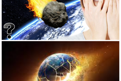 How Will The World End?  What If The Final Chapter Of Humanity Has Already Been Written In Secret Warnings, Lost Prophecies, And Forbidden Scientific Predictions No One Wants You To See? From Silent Cosmic Threats To Hidden Human Experiments And Ancient Doomsday Codes, Shocking Clues Suggest The End May Come Faster — And Stranger — Than Anyone Ever Imagined. Is This How Civilization Truly Collapses? Click The Article Link In The Comment And Discover The Terrifying Truth.