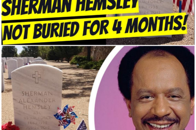 From George Jefferson to Forgotten Grave: The Heartbreaking End of Sherman Hemsley