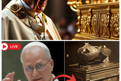 👁️ VATICAN QUAKE — POPE LEO XIV CONFIRMS THE TRUE LOCATION OF THE ARK OF THE COVENANT, AND ROME ERUPTS IN PANIC AND PRAYER ⚡ The narrator whispers with electrifying suspense as sealed maps are unveiled, cardinals pale under candlelight, and a single declaration from the Holy Father sends shockwaves through the marble halls, hinting that the most sacred relic in biblical history isn’t lost at all—just dangerously close 👇