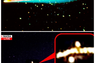 🐘 James Webb’s SHOCKING Find: 3I/ATLAS Carrying LIFE — Closer Than Ever! 🌠 “When the universe surprises us, the possibilities are endless!” The James Webb Space Telescope has just reported that comet 3I/ATLAS is carrying signs of life and is approaching Earth. What are the implications of this discovery, and how will it change our perspective on extraterrestrial life? The excitement is building! 👇