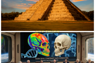 😱 DNA Test EXPOSES the Shocking Truth About the Maya — Their Origins Are DARKER Than We Could Have Ever Imagined! 😱 For centuries, the Maya civilization has captivated historians, but now, the truth is finally revealed through DNA testing — and it’s more terrifying than anyone expected. What they’ve uncovered will make you question everything you thought you knew about the ancient world. Is the true origin of the Maya civilization darker than a mere mystery? Get ready to face the untold horrors of their past.👇