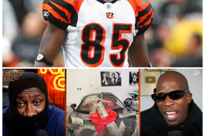 🐘 Sheisty Shay Calls Out Ocho for Splurging on a McLaren Instead of Helping Unc! 🚨 In a surprising turn of events, Sheisty Shay has taken to social media to confront Ocho after he celebrated his birthday with a lavish McLaren purchase, while neglecting to support Unc with his $5900 need! “What does this say about priorities?” As the drama unfolds, fans are weighing in on the controversial spending choices. Join us for a deep dive into this heated exchange! 👇