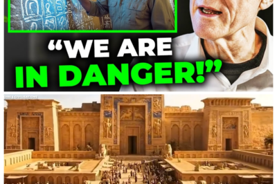 A Lost Assyrian Vault Was Discovered Under Nineveh — The Warnings On The Walls Are Terrifying