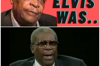 The Untold Friendship Between BB King and Elvis Presley That Changed Music History!