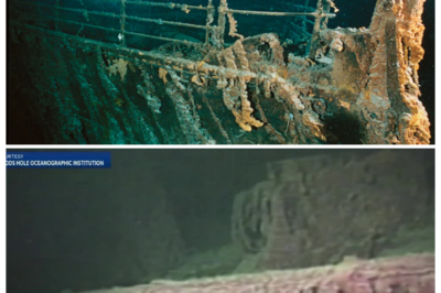 🚢 Titanic Discovery Finally Revealed: How the Legendary Ship Was Found in 1985 After Decades of Dead Ends, Rivalries, and Near-Failures—And Why the Breakthrough Was Less About Luck Than a Risky Gamble That Almost Cost Everything — In a breathless tabloid narrator’s growl, the tale paints a tense hunt beneath crushing darkness, where egos clashed, funding dangled by a thread, and a last-minute technical pivot turned despair into destiny, leaving the world stunned when the ocean finally gave up its most famous secret 👇