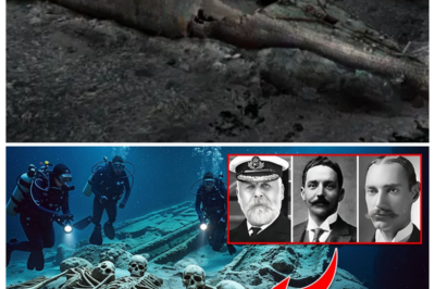 🧨 The Final Titanic Mystery Was FINALLY Solved in 2025—Or So Insiders Claim, As New Analysis, Reinterpreted Data, and One Uncomfortable Insight Allegedly Flip a Century of Assumptions, Turning Heroism, Error, and Fate Into a Single, Chilling Chain Reaction That Changes Everything We Thought We Knew — In a breathless tabloid narrator’s growl, the story teases that the answer isn’t a monster twist but a merciless alignment of choices and timing, leaving readers stunned by how small decisions echoed into history’s loudest silence 👇