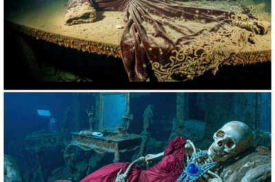 Titanic’s Hidden Cabins FINALLY Exposed After 113 Years Beneath the Atlantic—And Insiders Say the Discovery Reveals Terrifying Rooms Where Secrets, Fear, and Unseen Passengers Once Lingered, Turning the Legendary Ship From Icon of Romance Into a Haunting Crypt of Human Stories Left Untold — In a hushed, cinematic tabloid narrator’s tone, sources whisper that the cabins’ reveal isn’t just about architecture but about mystery, neglect, and shadows that survived the sinking, leaving explorers and historians alike shivering at what they never knew 👇