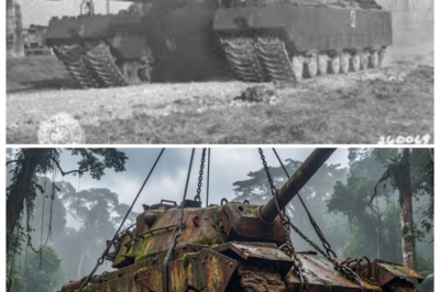 🛡️ Restoring the Forgotten T28 Super Heavy Tank in the Jungle After Decades—And Insiders Say the Rusted Behemoth Holds Secrets of War, Abandoned Missions, and Mechanical Mysteries That Make Its Reawakening Both Awe-Inspiring and Terrifying — In a dramatic tabloid narrator’s tone, sources claim the restoration isn’t just metalwork but resurrection, as each gear and cannon reveals decades of neglect, jungle decay, and human stories frozen in steel, leaving enthusiasts and historians stunned at what survived 👇
