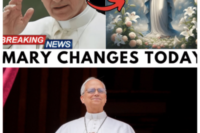 Pope Leo XIV Has Just Changed Mary Forever: Catholics Are Fighting!