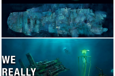 🌊 Where the Titanic Vanished—Nothing Is Normal, Say Experts Who Claim the Wreck Site Hides Twisted Currents, Shattered Cabins, and Evidence That Turns a Legendary Disaster Into a Living Nightmare Beneath the Atlantic — In a hushed, cinematic tabloid narrator’s tone, insiders whisper that the ocean floor isn’t just debris—it’s a haunting stage where human error, natural forces, and secrets frozen in metal collide, leaving explorers unsettled as the past refuses to stay buried 👇