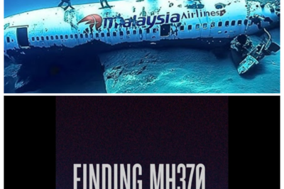 🔥 John Waters Returns to the Search Zone, Allegedly Uncovering Stories That Were Too Wild to Air Before, With Insider Commentary That Turns a Regular Episode Into a Tapestry of Scandal, Mystery, and Dark Humor — With biting drama, the lead teases that what seems casual is anything but, as hints drop that behind every joke lies a revelation ready to shock audiences 👇