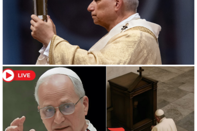 ✝️ CONFESSION BOMBSHELL — WHEN ASKED WHO HE CONFESSES TO, POPE LEO XIV’S ANSWER FREEZES THE ENTIRE VATICAN 🕯️ The narrator lowers their voice as microphones tremble, cardinals lean closer, and the Holy Father pauses just long enough to make the silence scream, before delivering a reply so unexpected it sends whispers racing through Rome like wildfire 👇