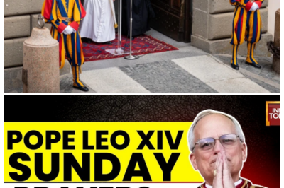 🕊️ Pope Leo XIV LIVE: The Angelus Prayer That Stunned Vatican City, as Insiders Say the Calm Blessing Masked Tension, Subtle Warnings, and a Message So Carefully Timed It Sent Ripples Through the Crowd Watching Every Breath in Real Time — In a hushed, dramatic tabloid narrator’s tone, sources whisper that this wasn’t just prayer but choreography, with pauses that spoke louder than words and a delivery that left viewers wondering what crisis he was quietly addressing 👇