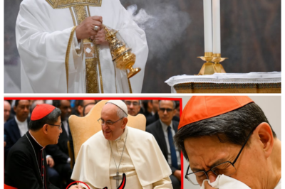 ⚡ Pope Leo XIV FINALLY Changed the Catholic Church FOREVER—Insiders Claim 12 Explosive Reforms Left Cardinal Tagle Visibly STUNNED, as Centuries of Tradition Were Rewired Overnight Through Quiet Decrees, Symbolic Gestures, and Power Shifts That No One Saw Coming — In a sharp, cinematic tabloid narrator’s tone, whispers insist this wasn’t reform by debate but by shock, with stunned aides, frozen smiles, and a Vatican scrambling to grasp how fast the ground moved beneath their feet 👇