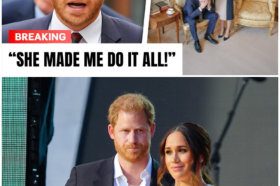 Harry BLAMES Meghan In EXPLOSIVE Lawsuit Scandal She MADE Me DO IT!