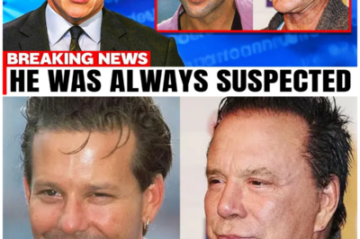 Mickey Rourke’s Tragic Fall: How Boxing and Bad Choices Destroyed a Hollywood Star!