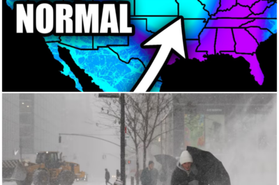 Snow, Wind, and Coastal Flooding: The Monster Winter Storm That Could Paralyze Millions